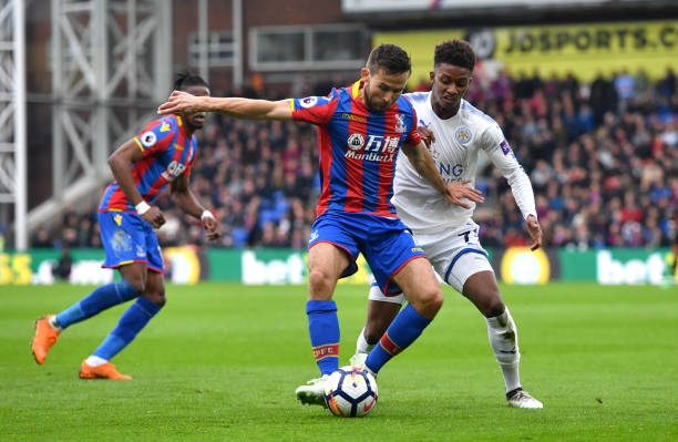 彰显了这位 彰显了这位