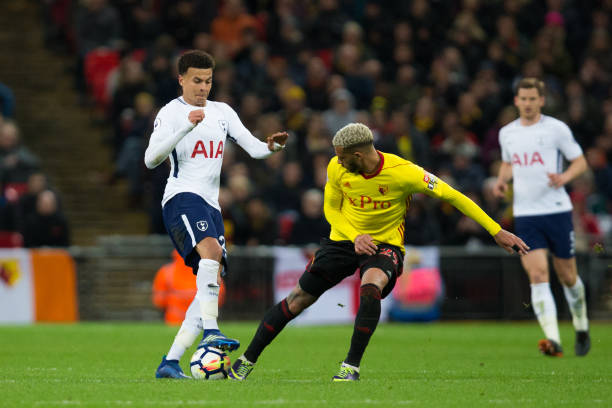 界的巨星正 界的巨星正